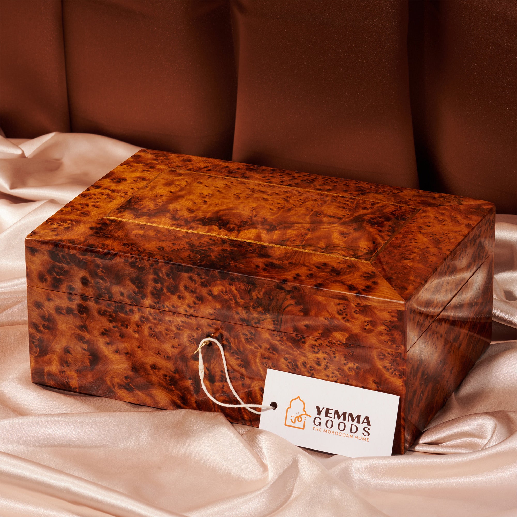 Thuya Wood Burl Jewelry Box AWAL